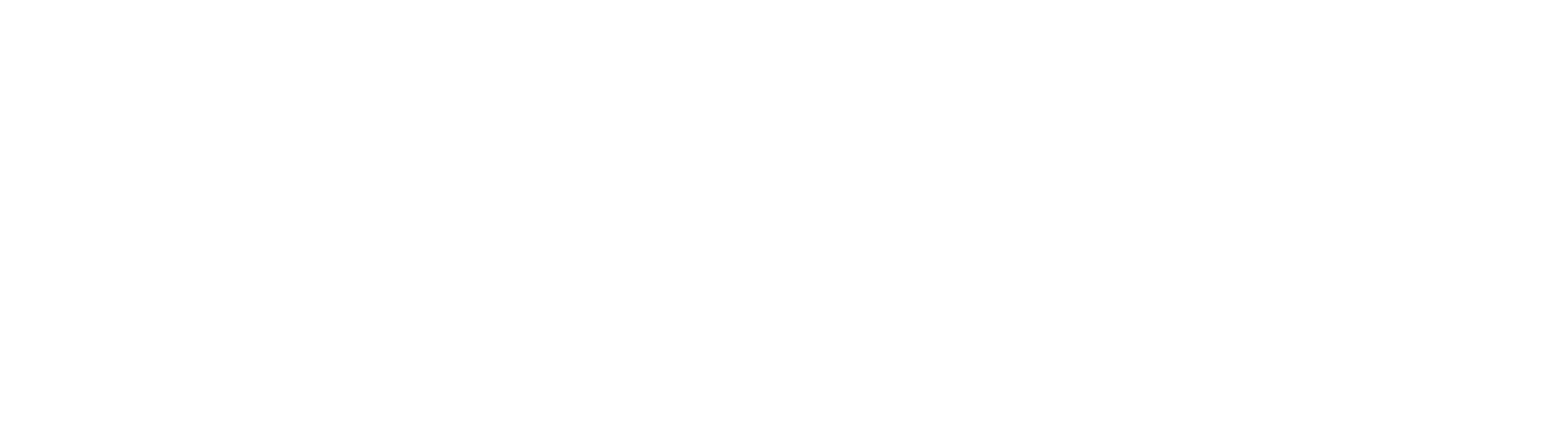 logo bona